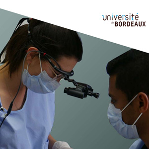 Synthèse stage actif 2025 – UFR d’Odontologie de Bordeaux